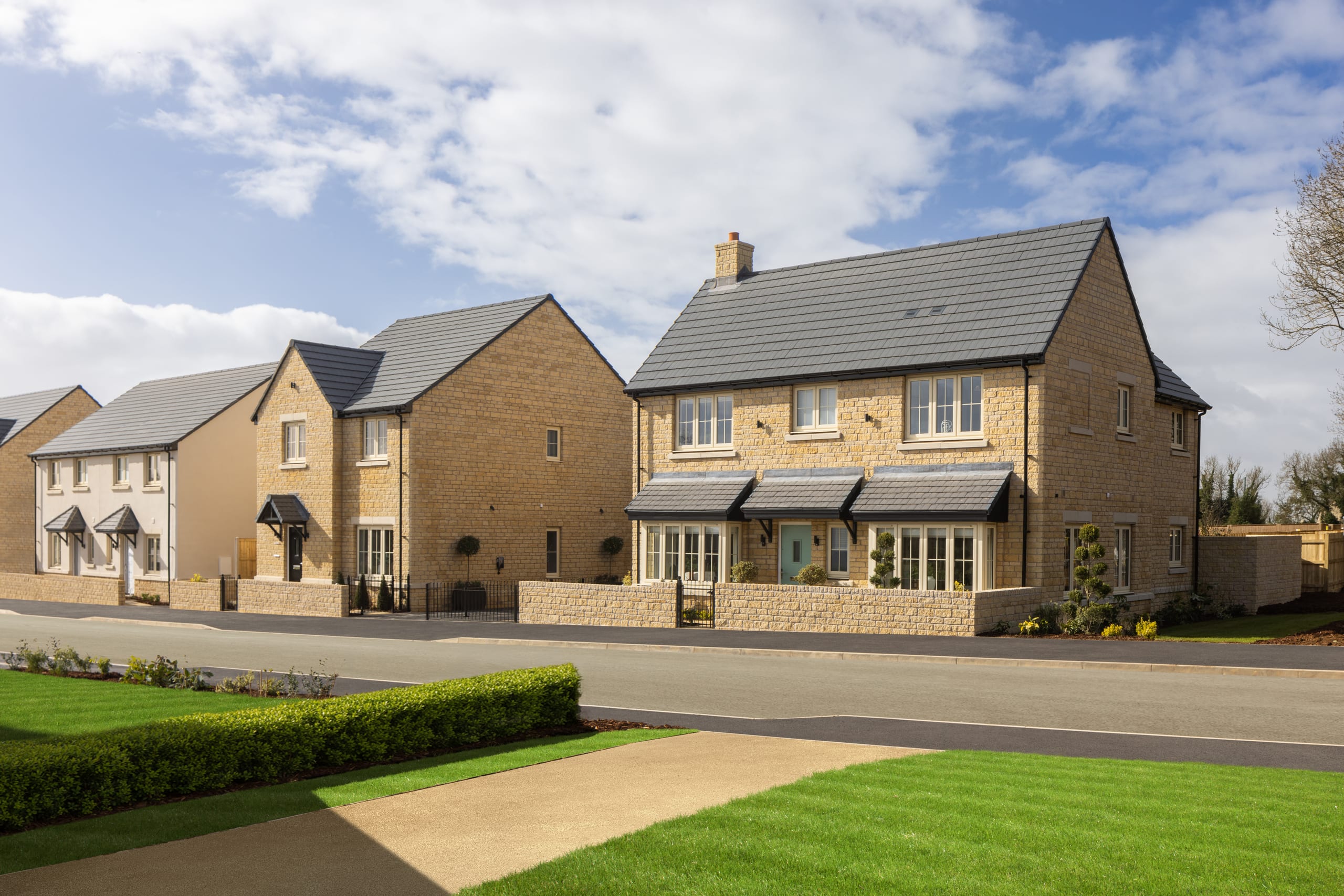 Show homes