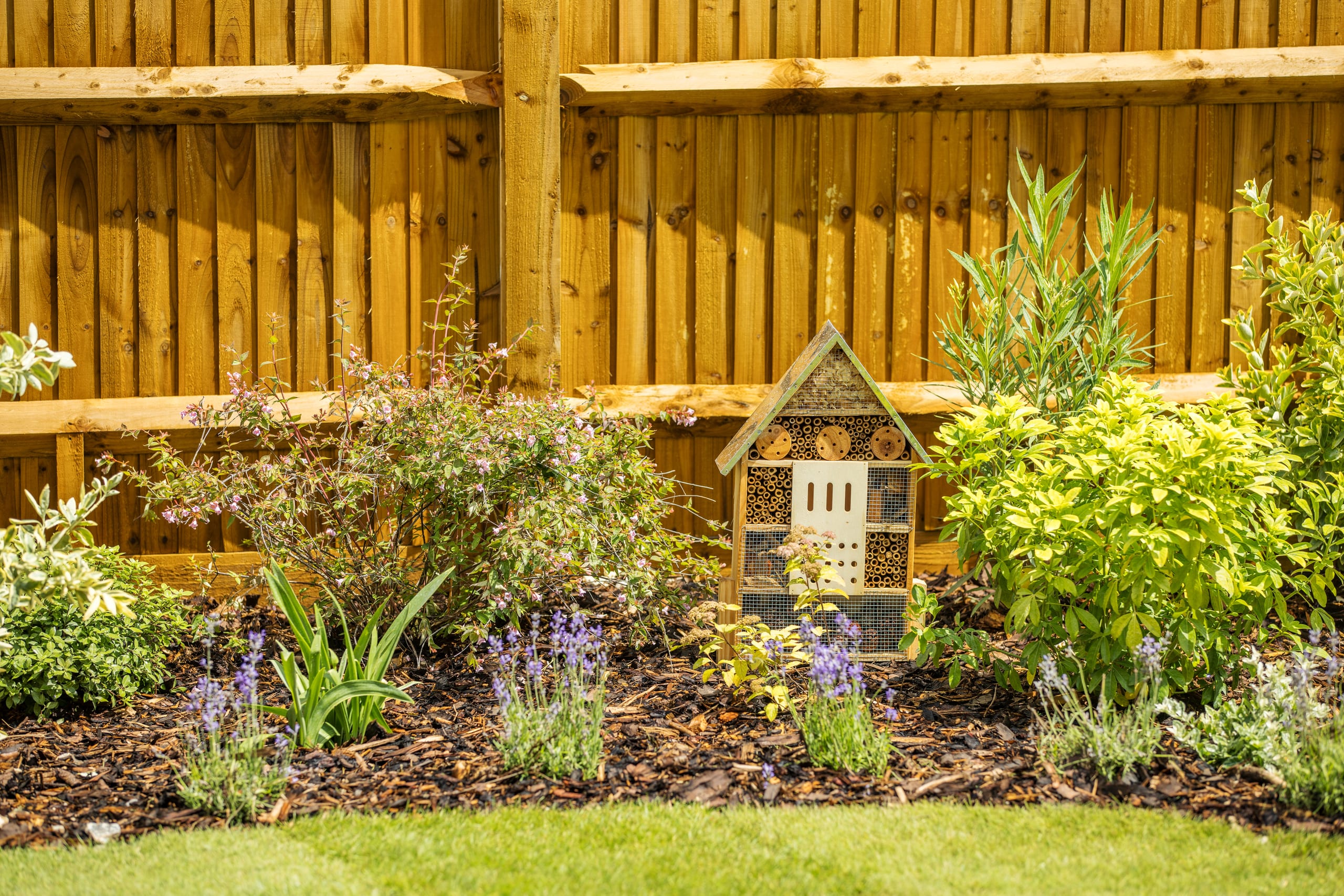 RSPB bug hotel, Speen