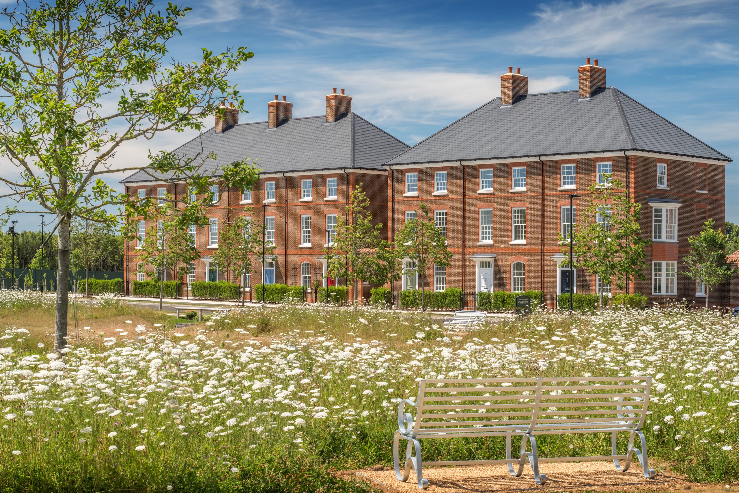 Homes and green space