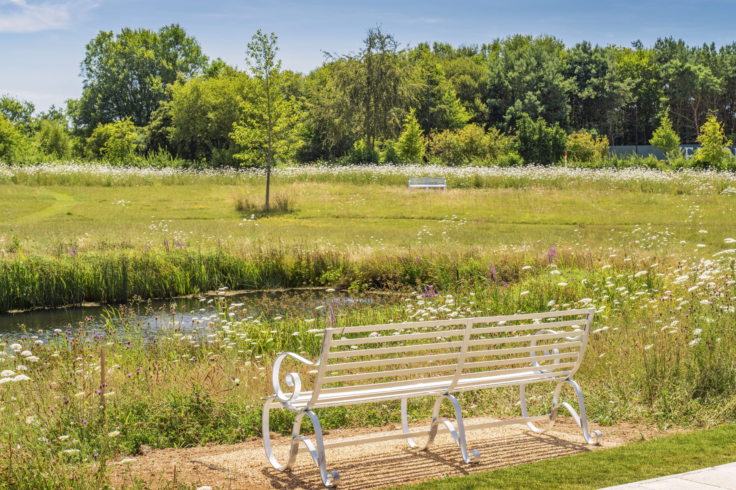 Wildlife pond