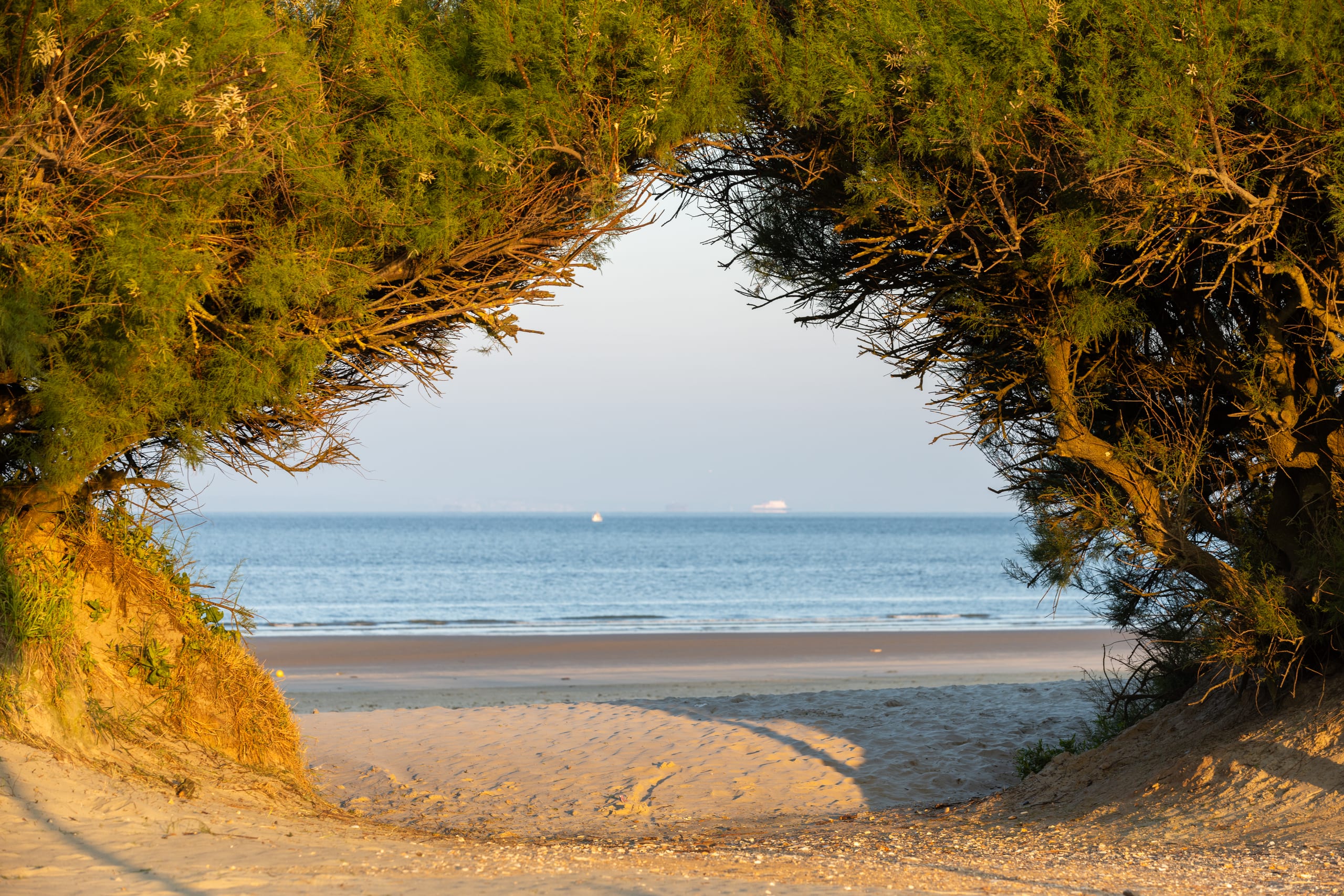 The beach