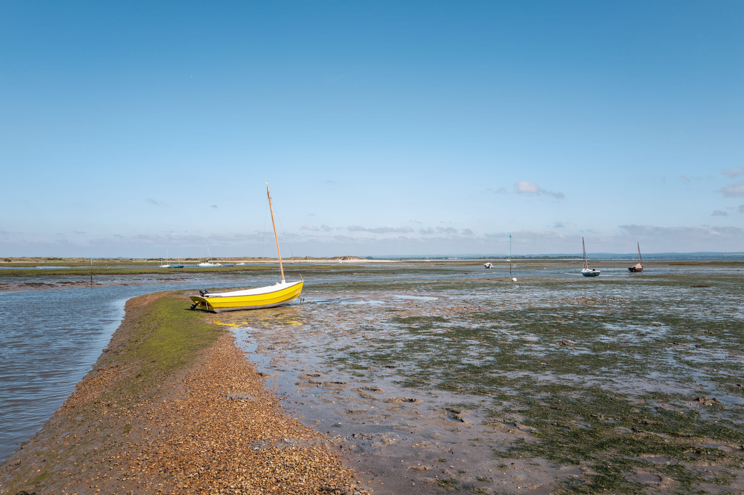 Low tide