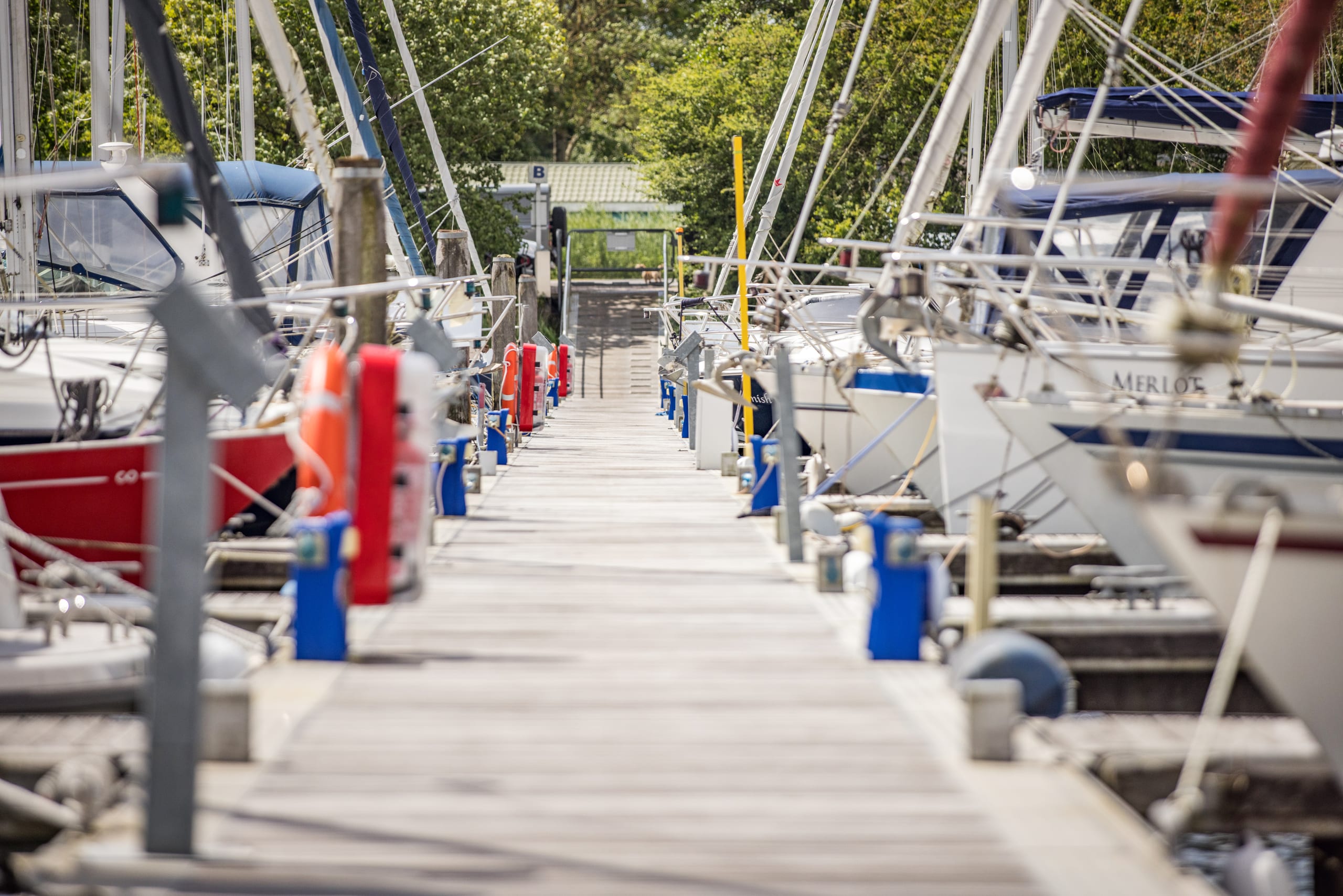 The marina